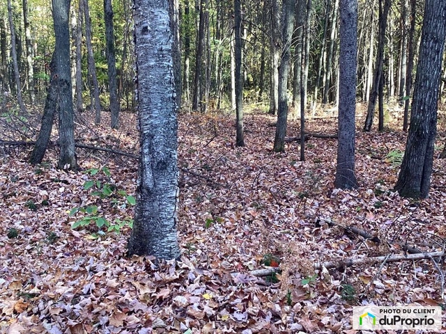 $539,000 - Wood Lot for sale in St-Lin-Laurentides — photo 1