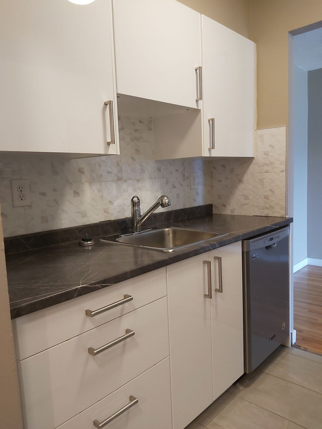 1 Bedroom Apartment for Rent - 221 Seventh Street in Long Term Rentals in Burnaby/New Westminster - Image 3