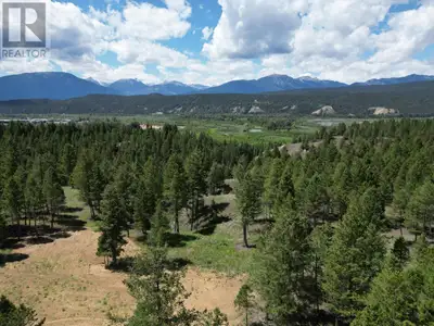 Welcome to Elk Park Ranch! The homesteads are estate lots offering no building commitment making the...