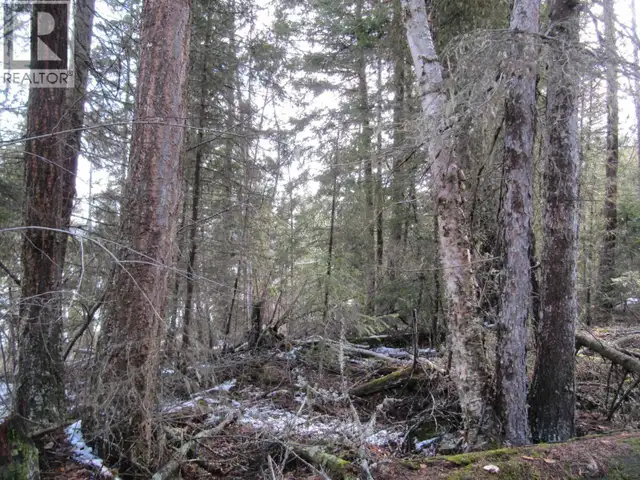 LOT A CANIM-HENDRIX LAKE ROAD Canim Lake, British Columbia in Land for Sale in 100 Mile House - Image 25