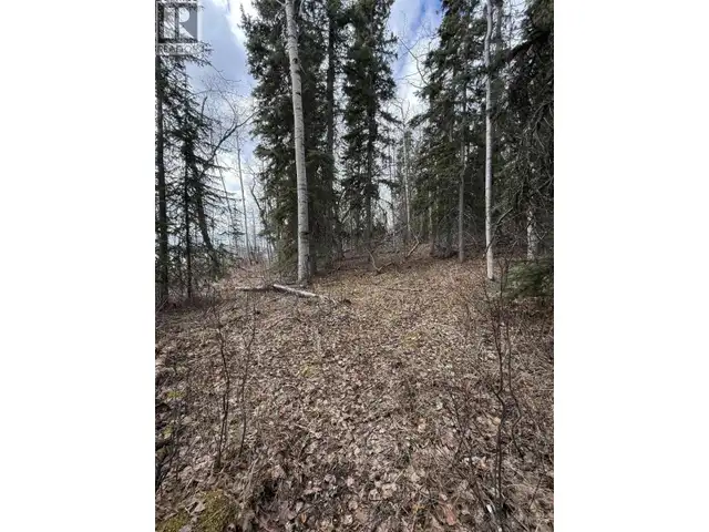 14035 COLLEYMOUNT ROAD Burns Lake, British Columbia in Land for Sale in Burns Lake - Image 7