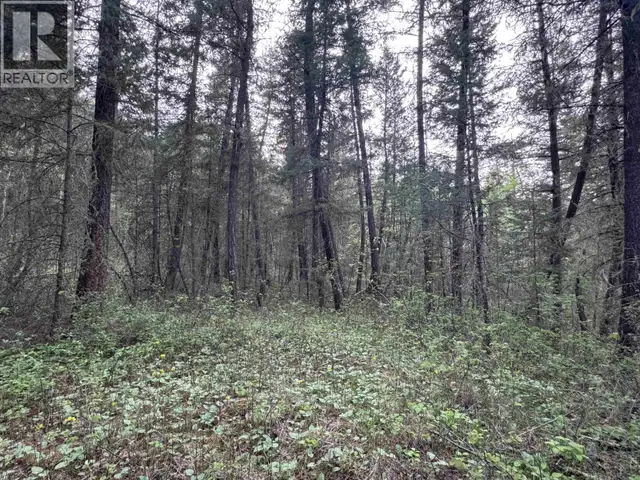 550 DOG CREEK ROAD Williams Lake, British Columbia in Land for Sale in Williams Lake - Image 8