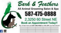 Weekend Dog and Cat Grooming Appointments!