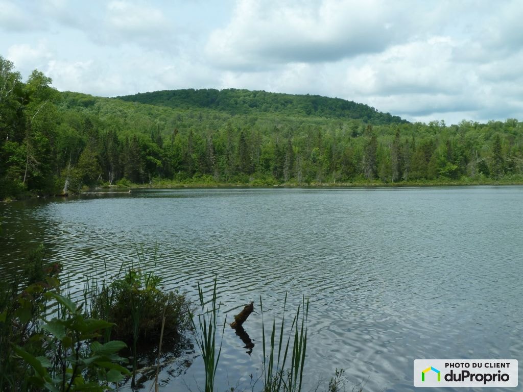 $95,000 - Residential Lot for sale in Chute-St-Philippe — photo 2