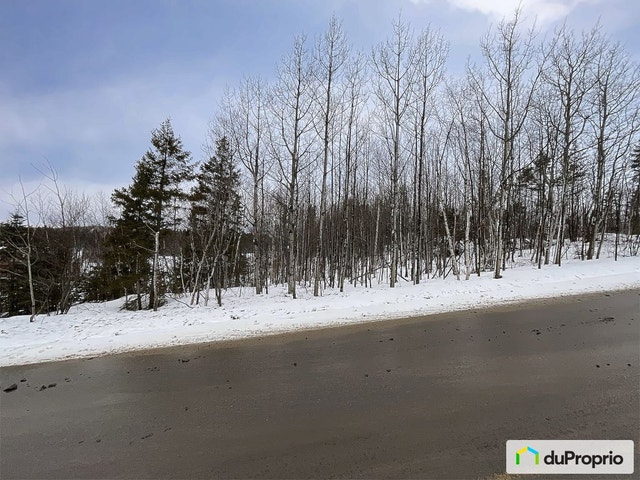 $95,000 - Wood Lot for sale in Ste-Francoise — photo 3