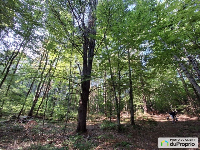 $145,000 - Residential Lot for sale in Brownsburg-Chatham — photo 3