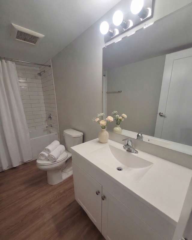 1 Bedroom in Sault Ste Marie - Starting at 1395 in Long Term Rentals in Sault Ste. Marie - Image 10