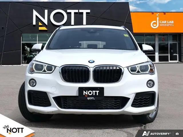 2018 BMW X1509907943199221761