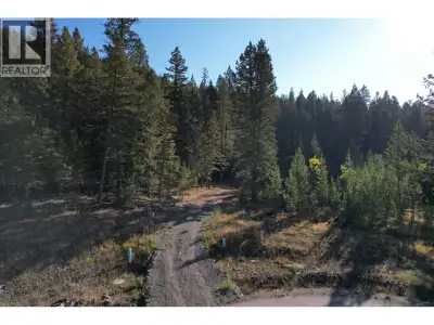 Acreage with all the services of town! The driveway is in and a potential building site cleared and...