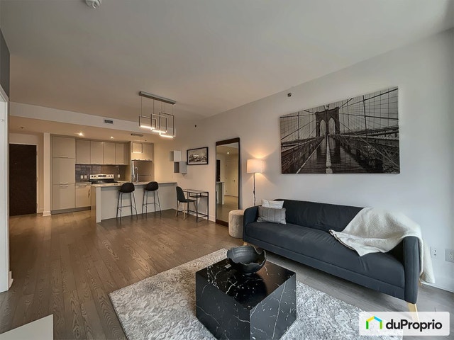$460,000 - Condominium for sale in South-West Montreal — photo 2