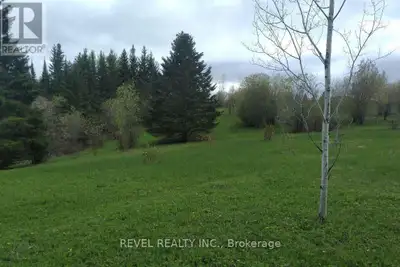 Discover the perfect canvas for your dream home! This picturesque property offers over 10 acres of m...