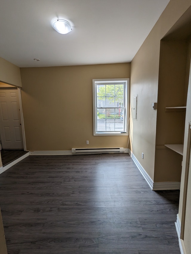 153 St James St 1 1BR Uptown/South End, Ground Floor, Yard Long