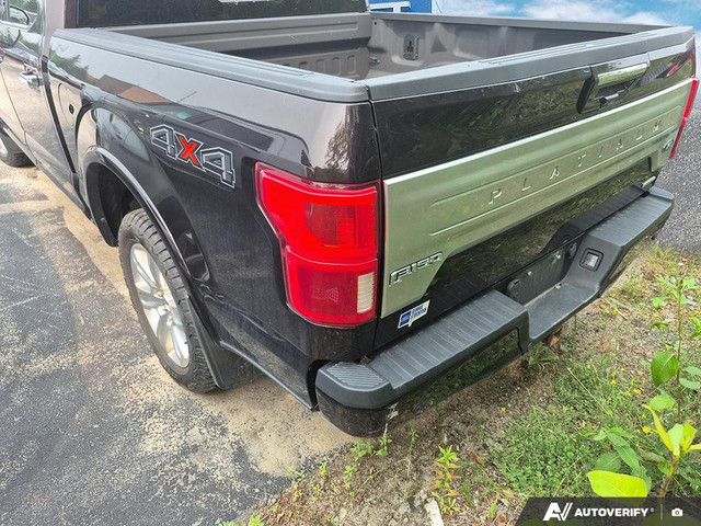 2019 Ford F-150 in Cars & Trucks in Thunder Bay - Image 3