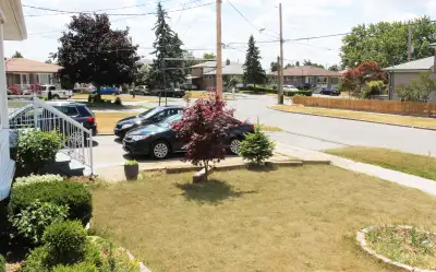 2 Single occupancy room in shared basement-with 1 other males in basement. Smaller room available no...