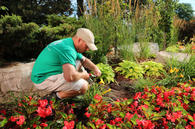 Hiring Gardeners - Apprenticeship Available! in Cleaning & Housekeeping in Calgary - Image 3