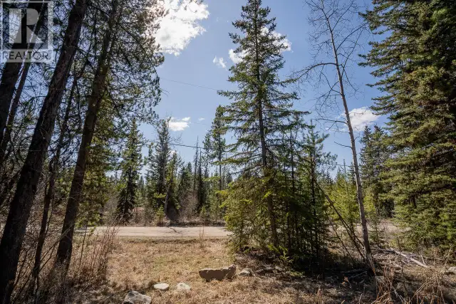 6301 ARCHIE MEADOW ROAD Forest Grove, British Columbia in Land for Sale in 100 Mile House - Image 13