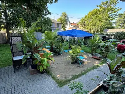 2 bedrooms apartment for rent