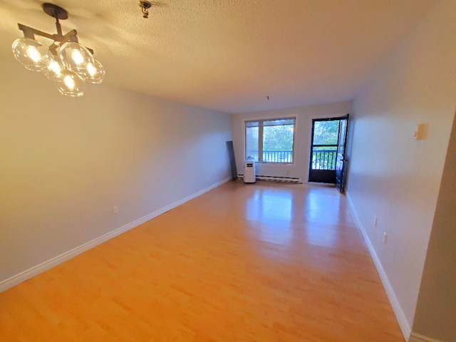 July 1st - Quiet Condo - 2 Bed 1 Bath - Laundry - Parking in Long Term Rentals in Dartmouth - Image 3