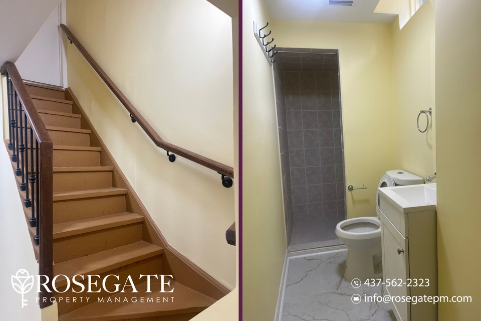 Bright 1-Bedroom Basement Apartment in Mississauga 3