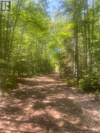 This (+/-) 33 acre waterfront mini estate sits on Grand Lake, New Brunswick's largest freshwater lak...