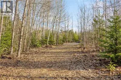 13 Acres of Untapped Potential in the Heart of Qualicum/Coombs Discover a rare opportunity to own 13...