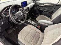 CONSECUTIVE COMSUMER CHOICE AWARD WINNERS! HEATED SEATS, REVERSE CAMERA, BLUETOOTH HANDSFREE, DUAL C... (image 6)