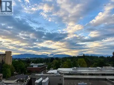 Views, Space & Location-This One Has It All! Welcome to Belmont Tower, where this bright corner cond...