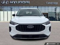PREVIOUS DAILY RENTAL The 2024 Ford Escape Active is the versatile daily driver designed for the way... (image 7)