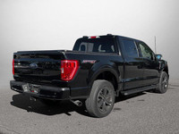 NACTOY 2021 North American Truck of the Year. This Ford F-150 boasts a Regular Unleaded V8 5.0 L eng... (image 4)
