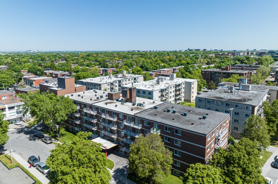 YORKVILLE GOLD 1 4