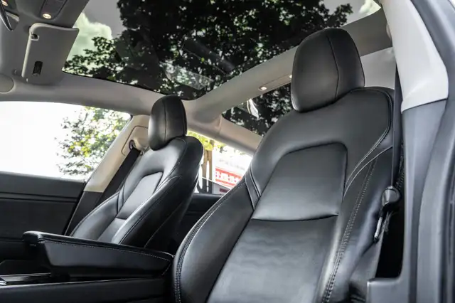 2020 Tesla Model 35348208500388761620