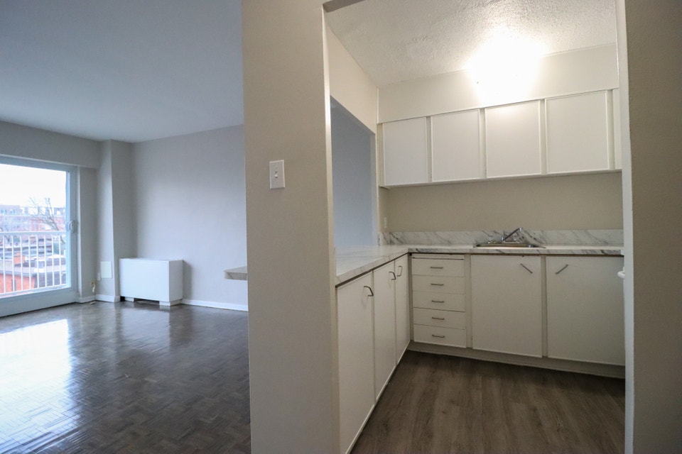 ONE MONTH FREE!!   1 Bedroom Centretown -  Elgin/Bank/Downtown 5