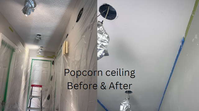 Looking for painter handyman?583741948014766084