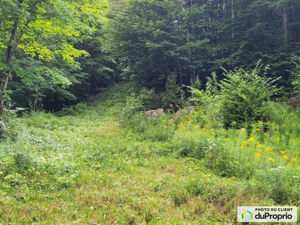 $745,000 - Residential Lot for sale in Brownsburg-Chatham — photo 1