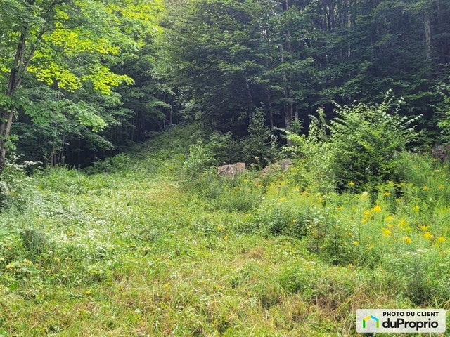 $745,000 - Residential Lot for sale in Brownsburg-Chatham — photo 1