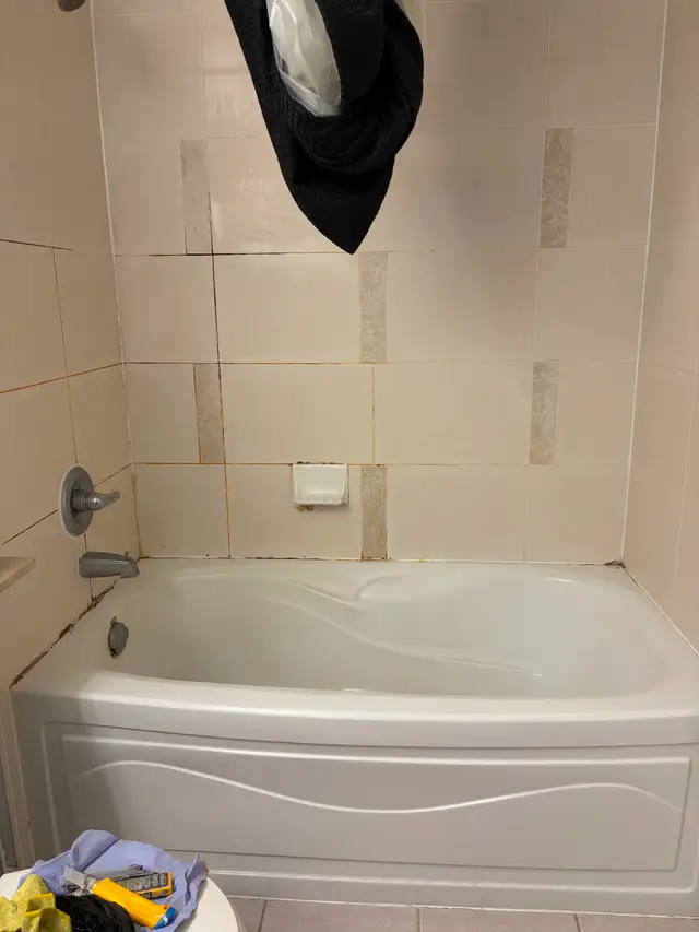 Shower cleaning, silicone replacement589175819831224324