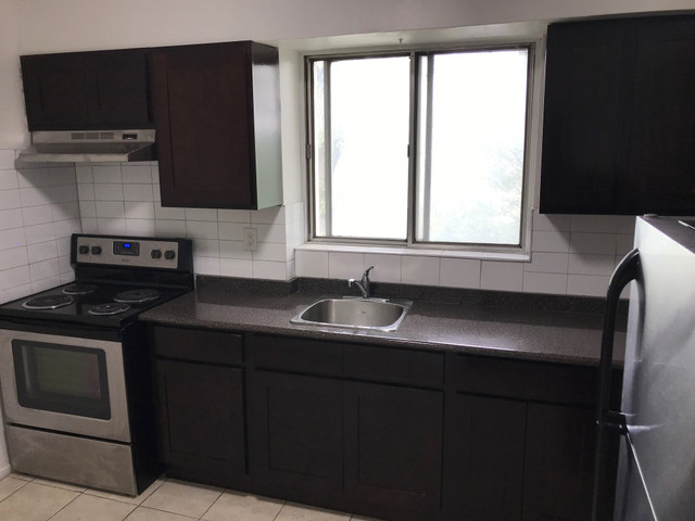 1042 Sheppard Ave W-  Sheppard West Subway in Long Term Rentals in City of Toronto - Image 2