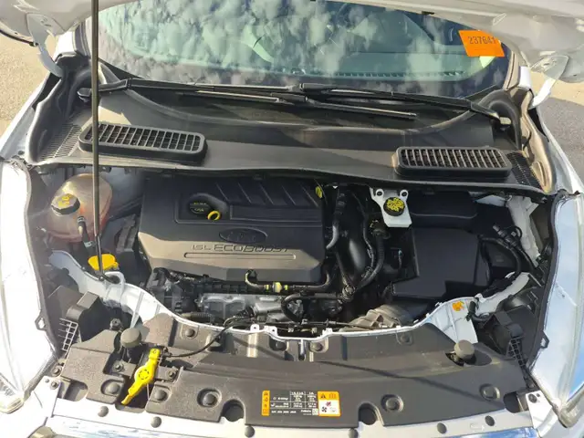 2018 Ford Escape SE5769466220131328011