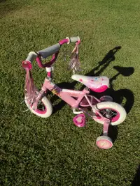 Girls pink flamingo with training wheels