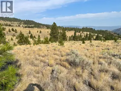 Rare 272 acres of land with great potential for many possibilities. Current zoning calls for a devel...