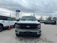 The 2026 Ford F-150 stands ready with rugged utility, smart features and a presence that commands at... (image 1)