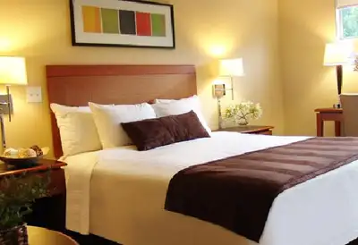 Spacious single room with private bathroom, Single room with shared washroom, Basement Rooms with sh...