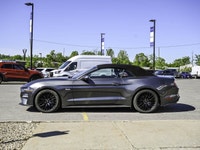 Experience the thrill of pure performance with the 2019 Ford Mustang GT Premium, now available at Ji... (image 8)