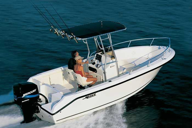 Mercury 150 Two Stroke EFI - Motor Only in Boat Parts, Trailers & Accessories in Hamilton