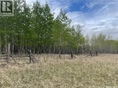 This 40 acre parcel (lot 3) is located 5.5km South of Dorintosh. An excellent location for your fore...