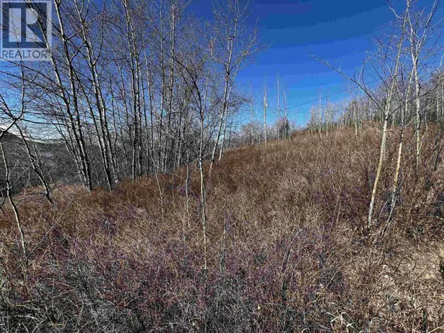 LOT 20 FRANCOIS LAKE ROAD Fraser Lake, British Columbia in Land for Sale in Burns Lake - Image 16
