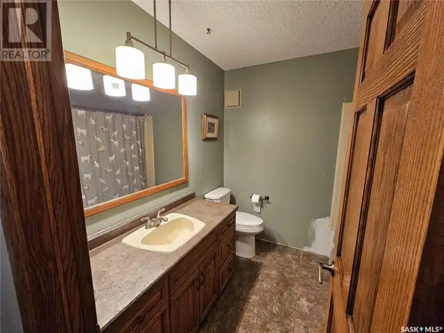 206 West 1st STREET Alida, Saskatchewan in Houses for Sale in Regina - Image 36