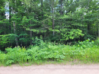 LAND FOR SALE - 0 SHIELDS POINT RD., BONFIELD ONTARIO