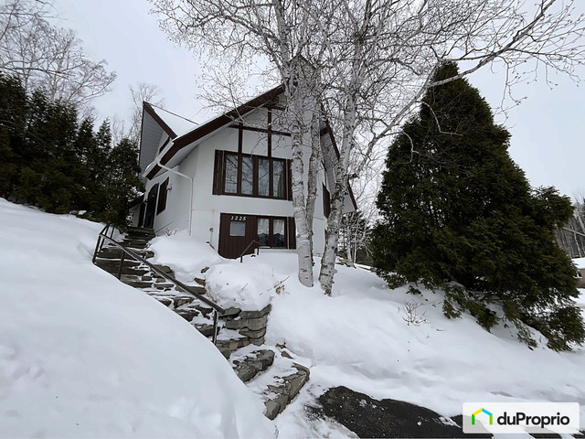 419 000$ - Maison à un étage et demi à vendre à Alma dans Maisons à vendre  à Lac-Saint-Jean - Image 3