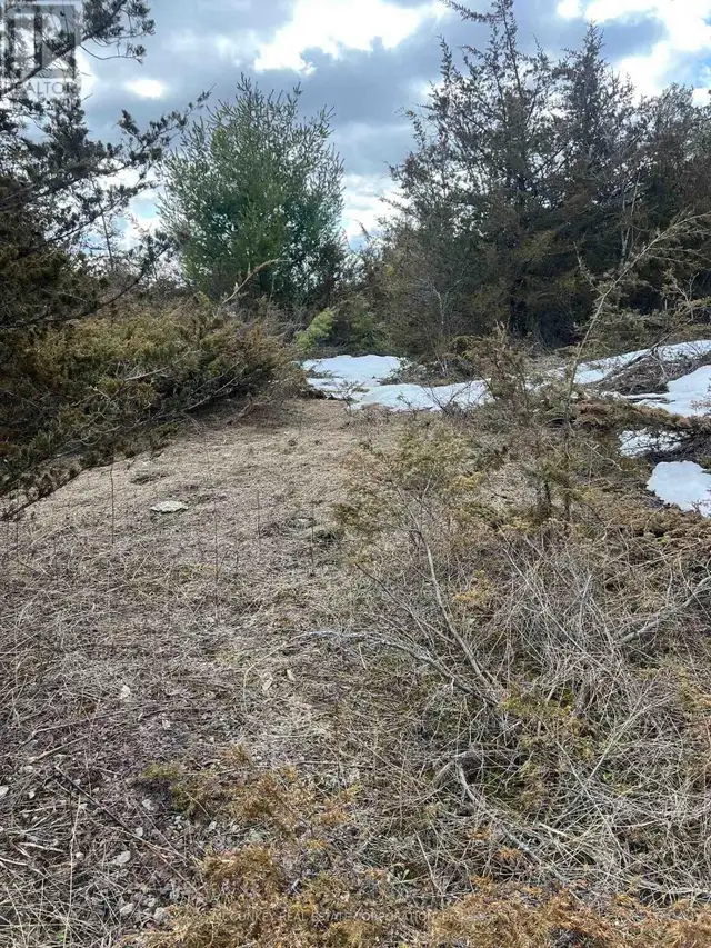 00 N. DUMMER 7TH LINE ROAD Douro-Dummer, Ontario in Land for Sale in Peterborough - Image 18